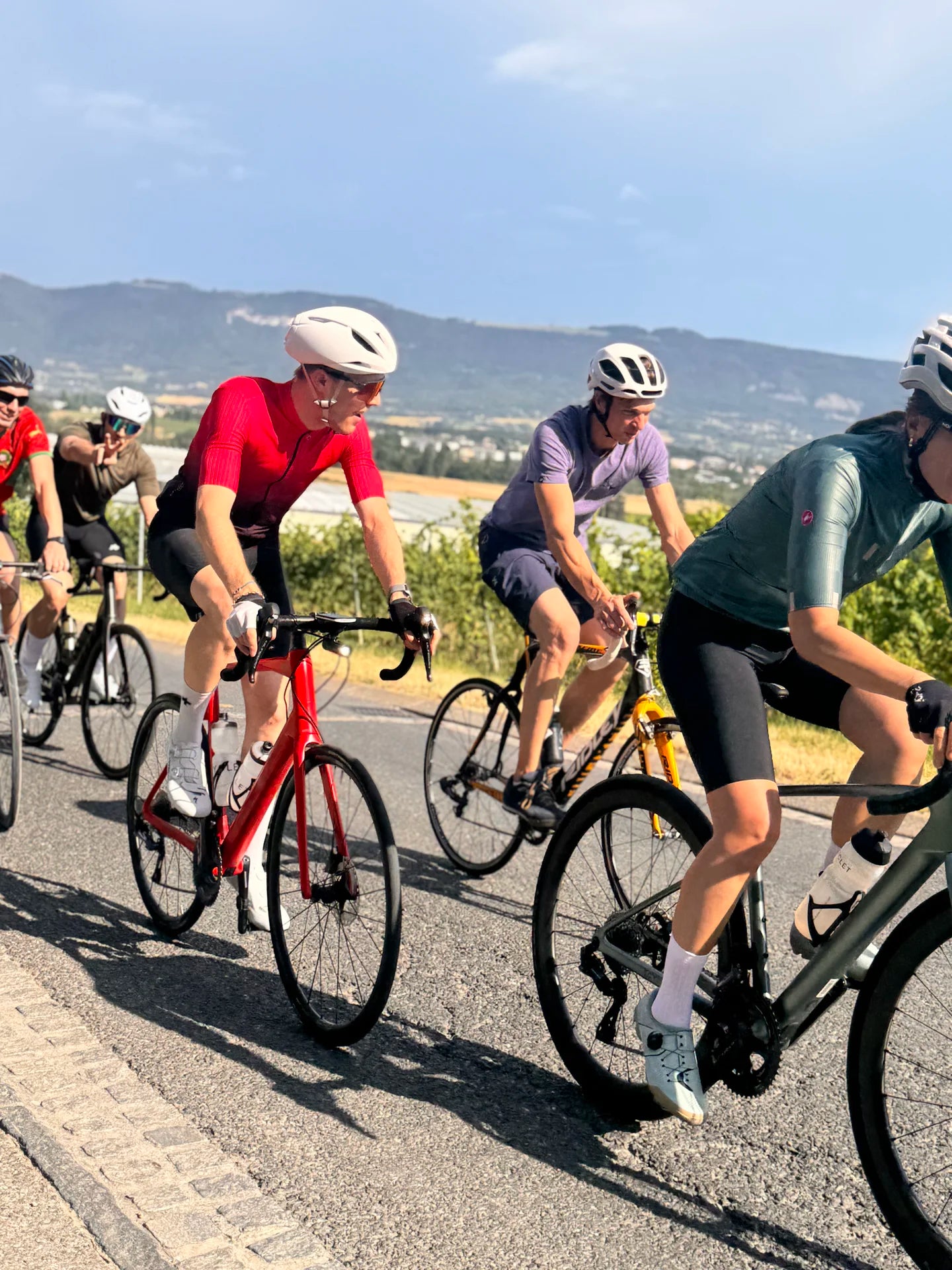 Sortie de groupe à vélo de route sur une montée au milieu des vignobles